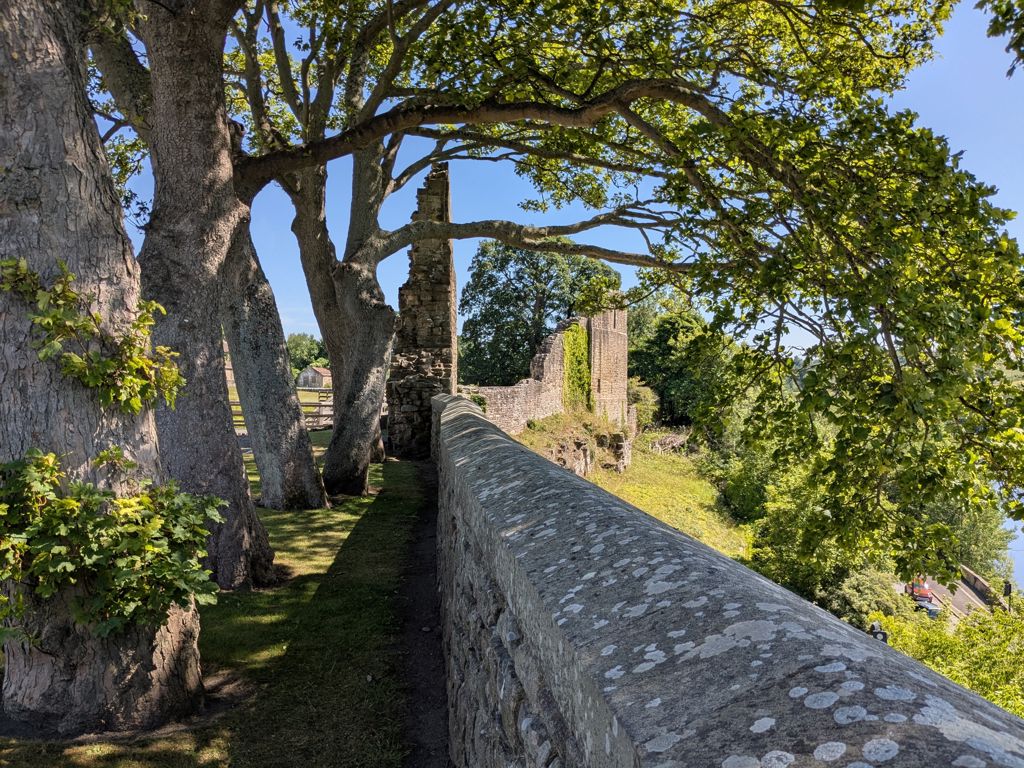 Barnard Castle - Wall - West