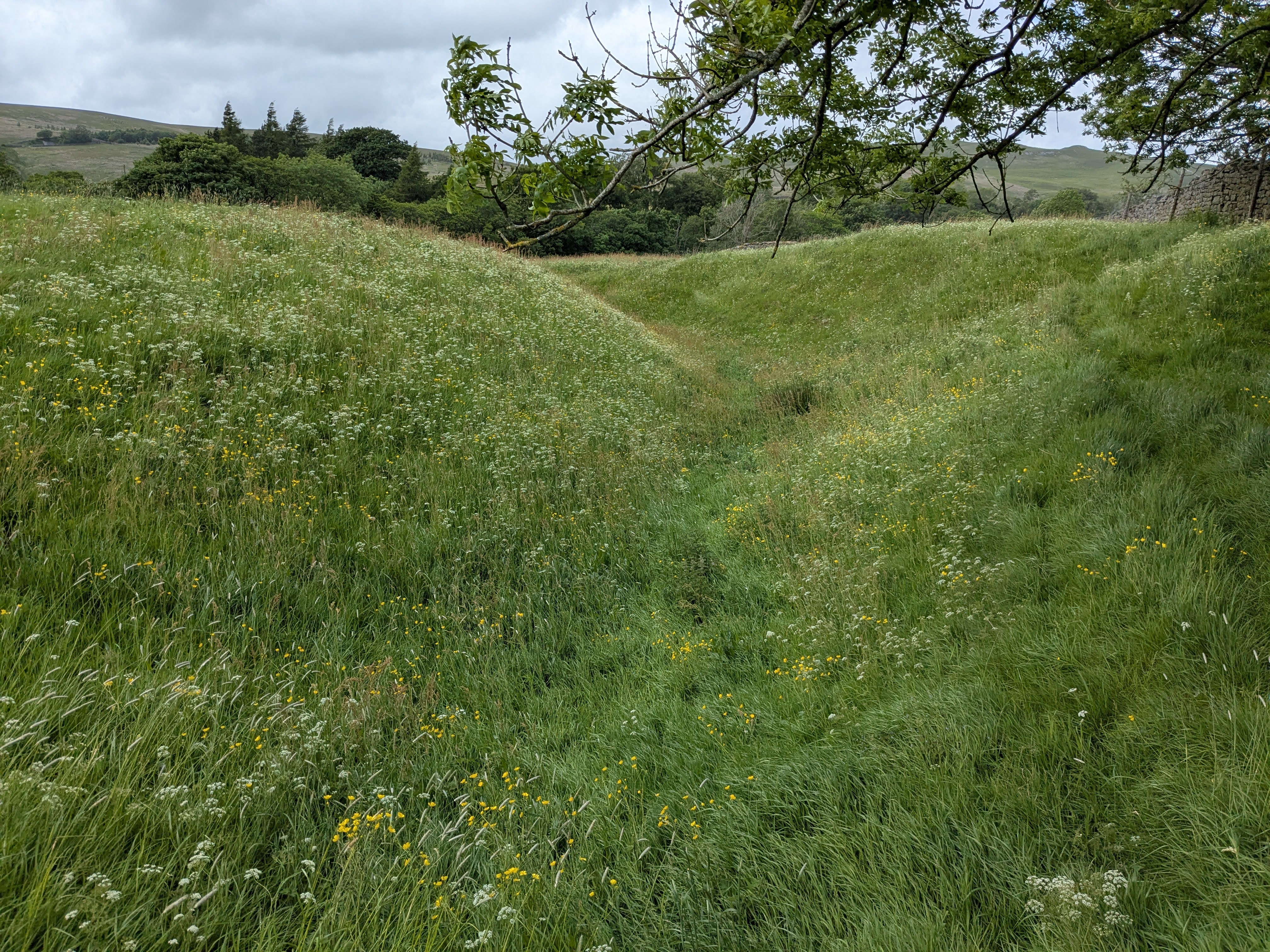 Pendragon Castle - Moat