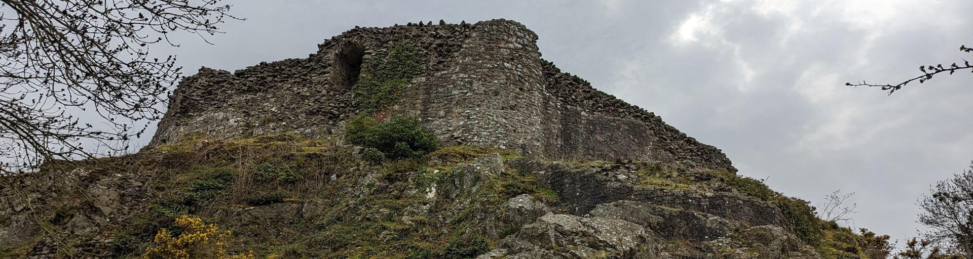 Montgomery Castle 1