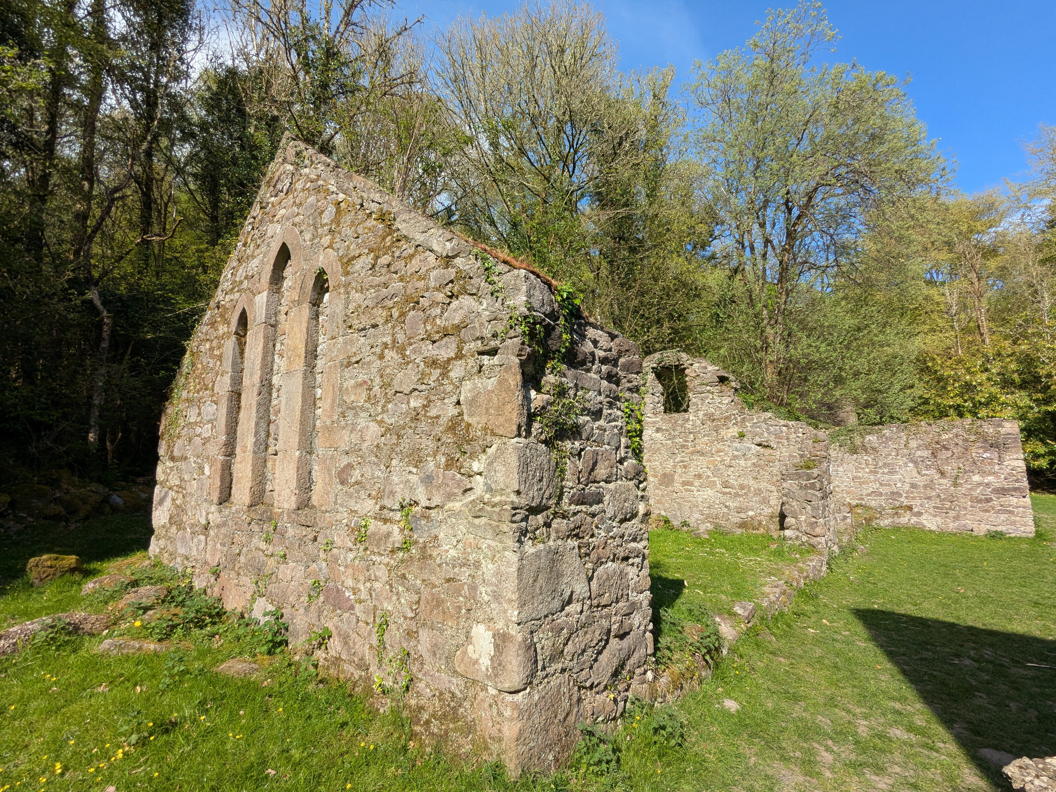Carey's Castle - Ruins 1
