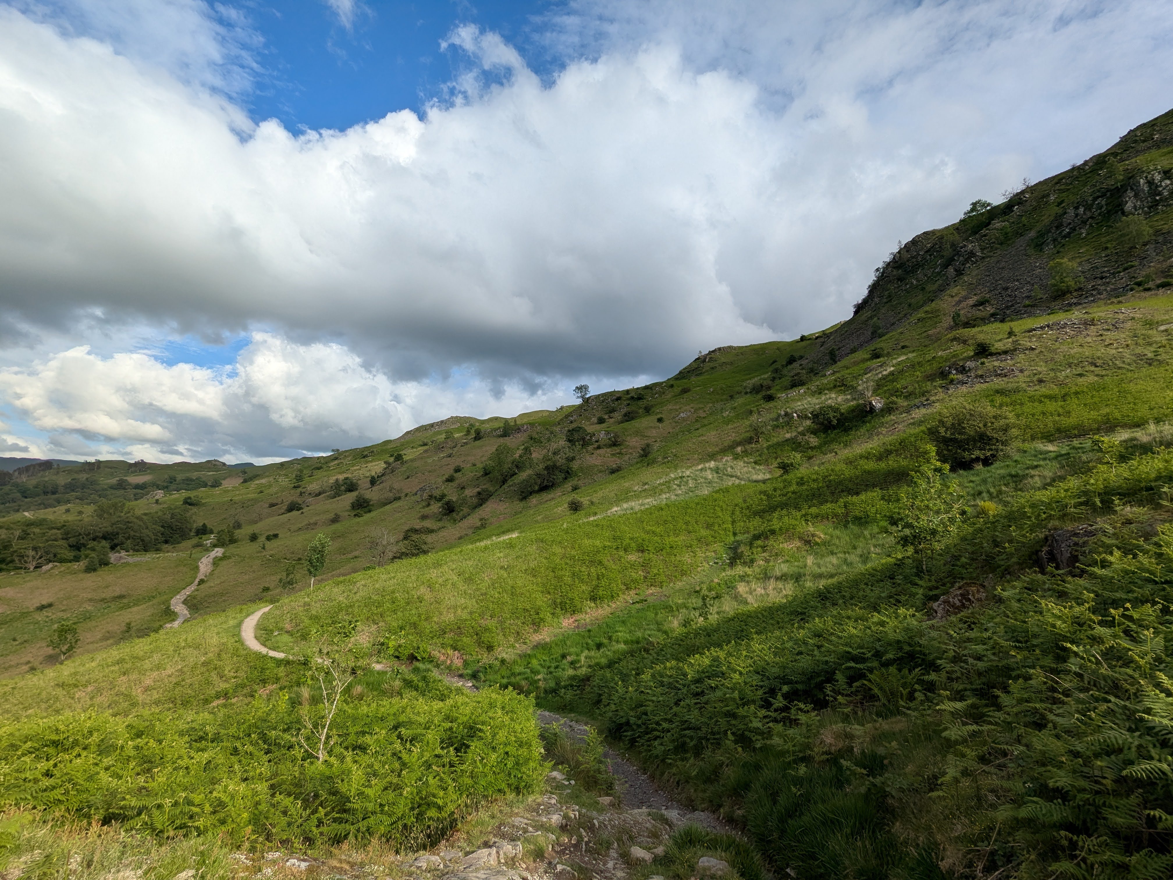 Loughrigg Fell - North Paths