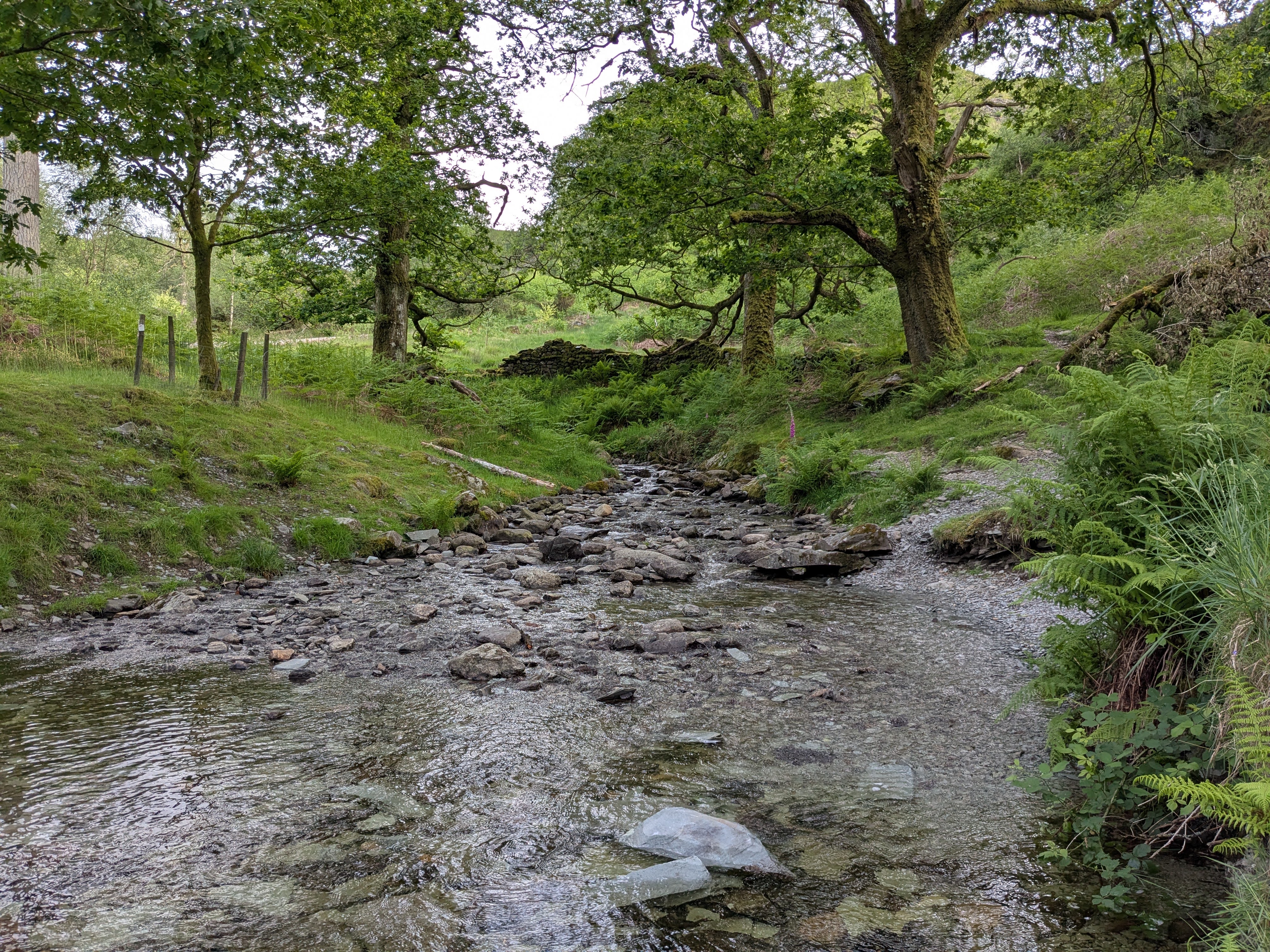 Loughrigg Fell - Stream