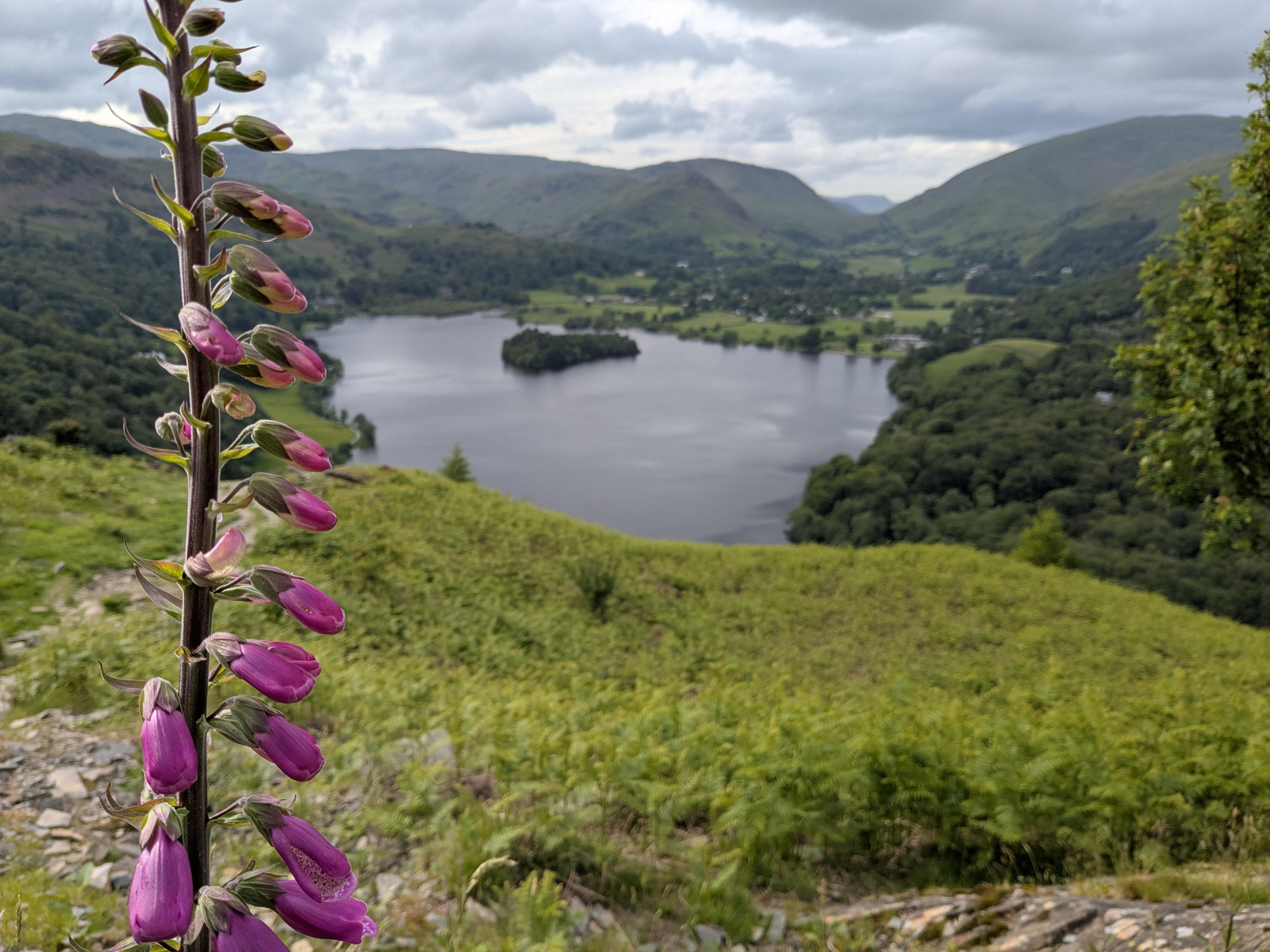 Loughrigg Fell - Grasmere