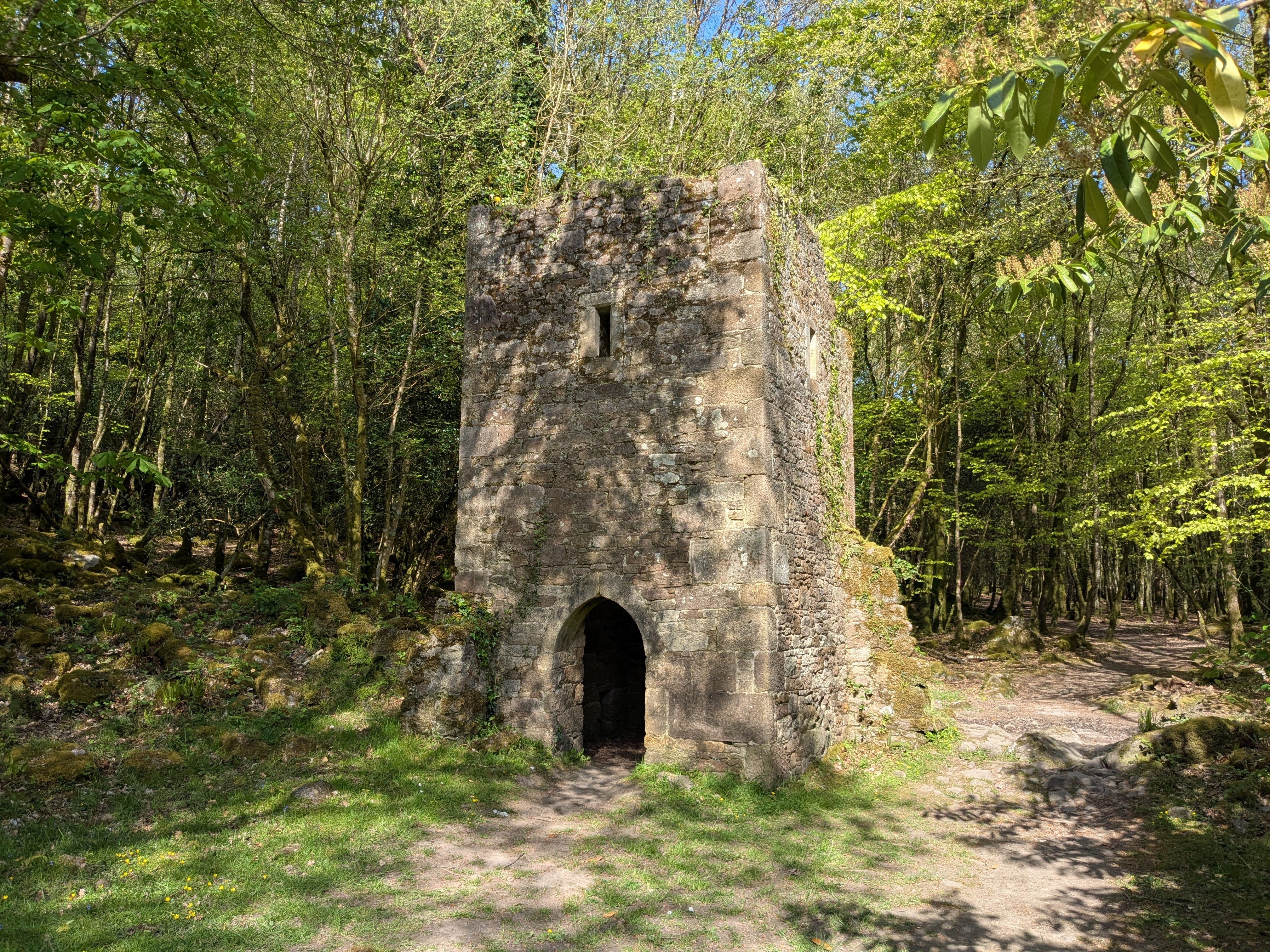 Carey's Castle - False Bartizan