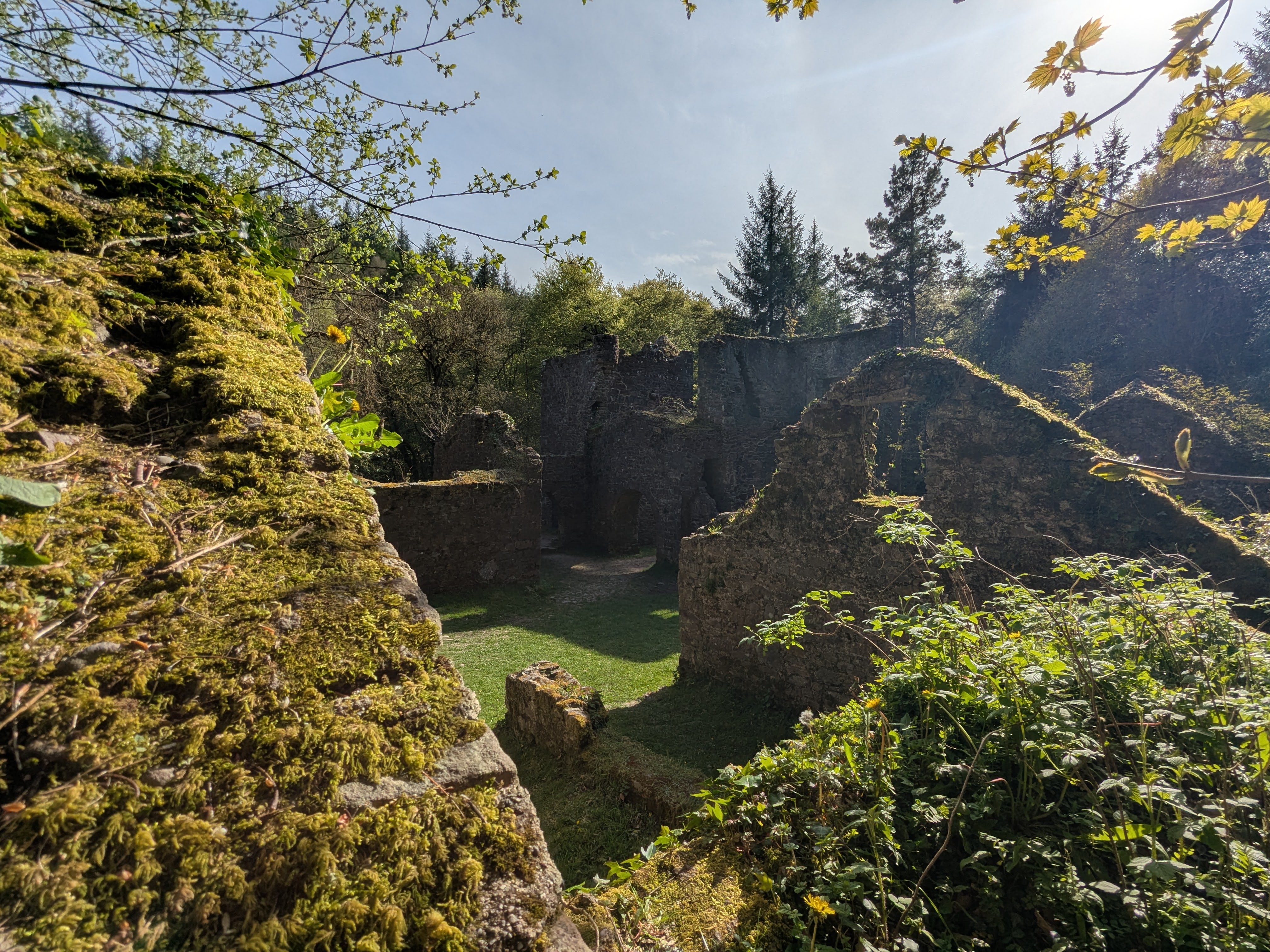 Carey's Castle - Ruins 2
