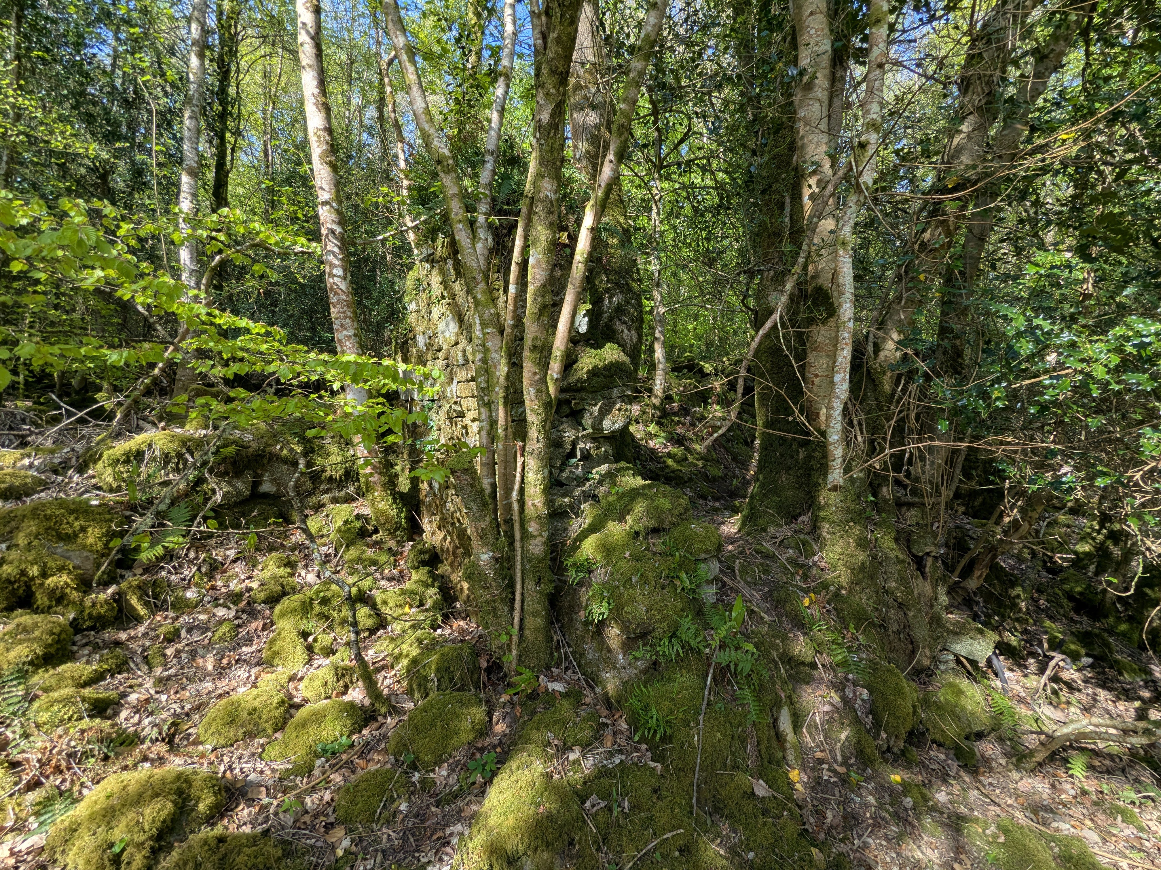 Carey's Castle - Ruins - Wall